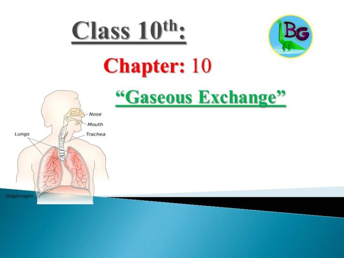 class 10 biology chapter 10 mcqs