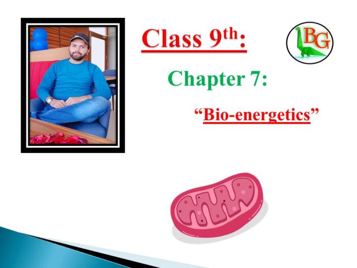 Class 9th biology bioenergetics mcqs
