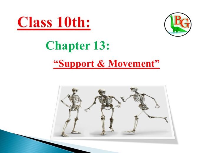 10th class biology chapter 13 