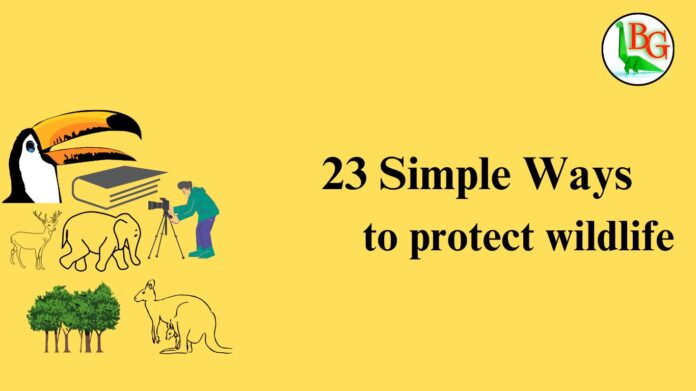 Ways to protect wildlife