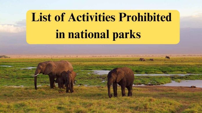 List of activities prohibited in national parks