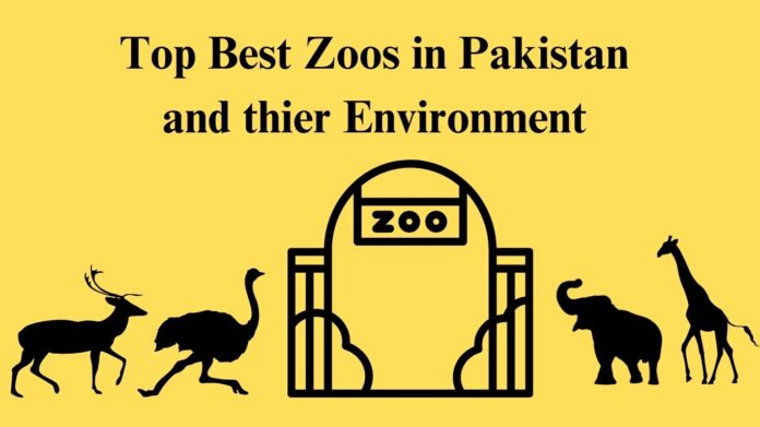 Best Zoo in Pakistan