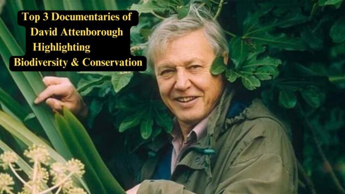 Top 3 Documentaries of David Attenborough Highlighting Biodiversity and Conservation