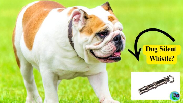 The Ultimate Guide to Dog Silent Whistles: Training and Key Features